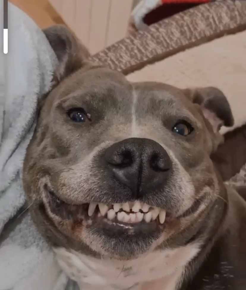 Diseño página web de 