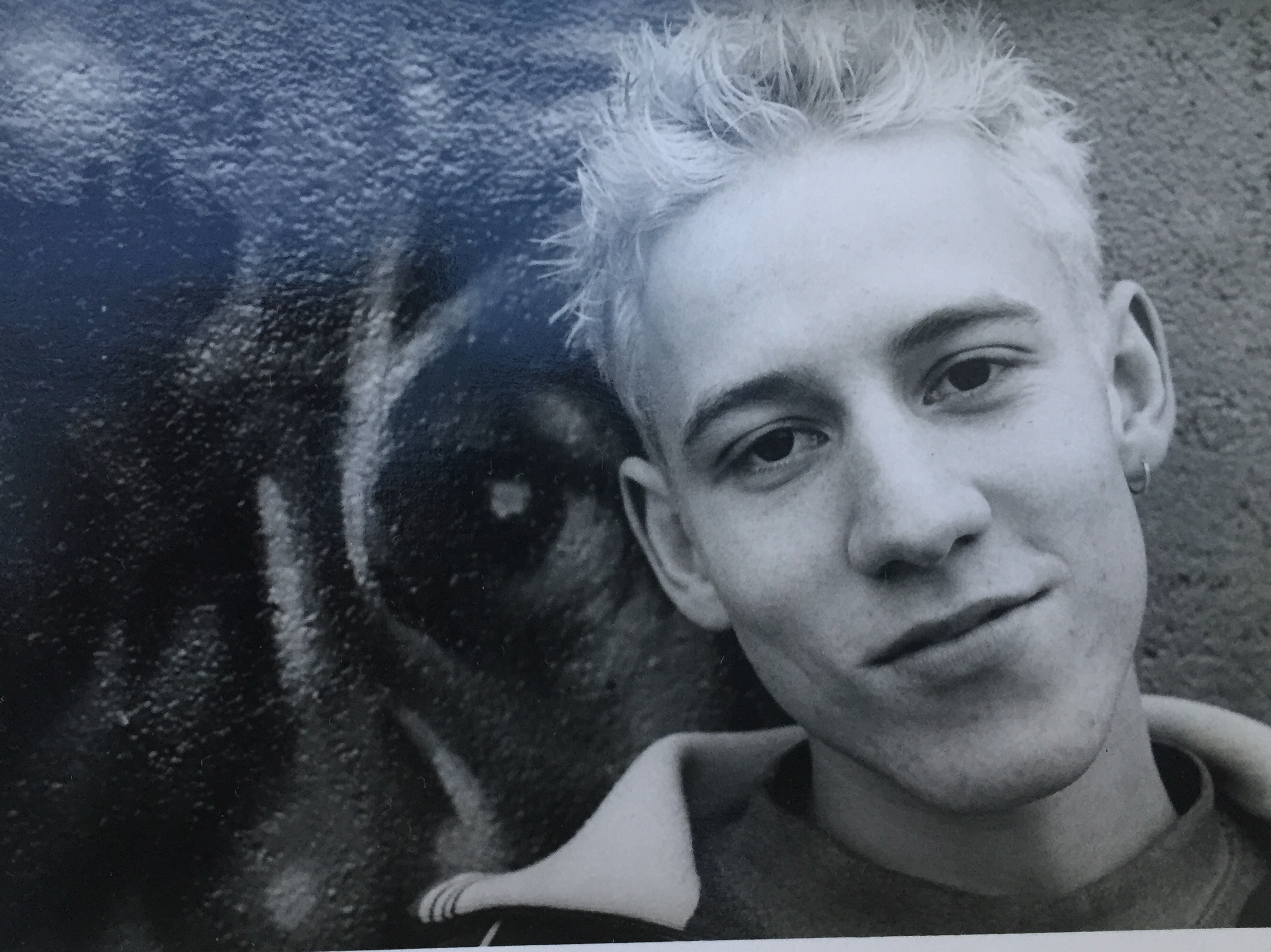 Diseño página web de 